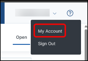 TP my account.png